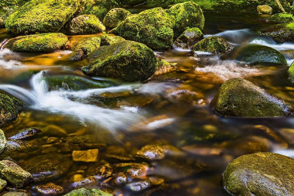 Stream 水域
 自然 水資源
