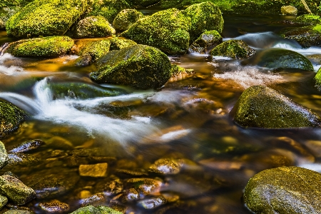 Stream body of water nature resources Photo