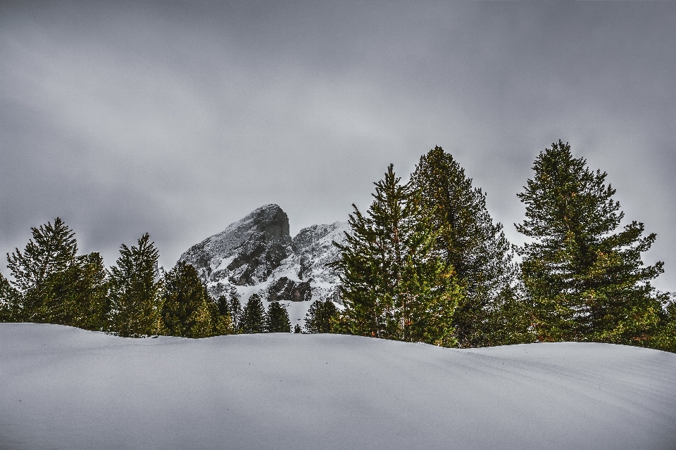 Schnee himmel natur baum