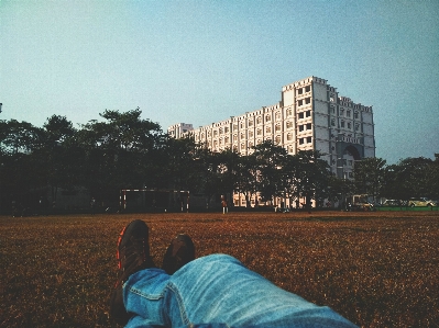 Sky tree morning grass Photo