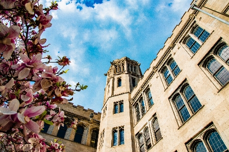 Sky blue daytime town Photo