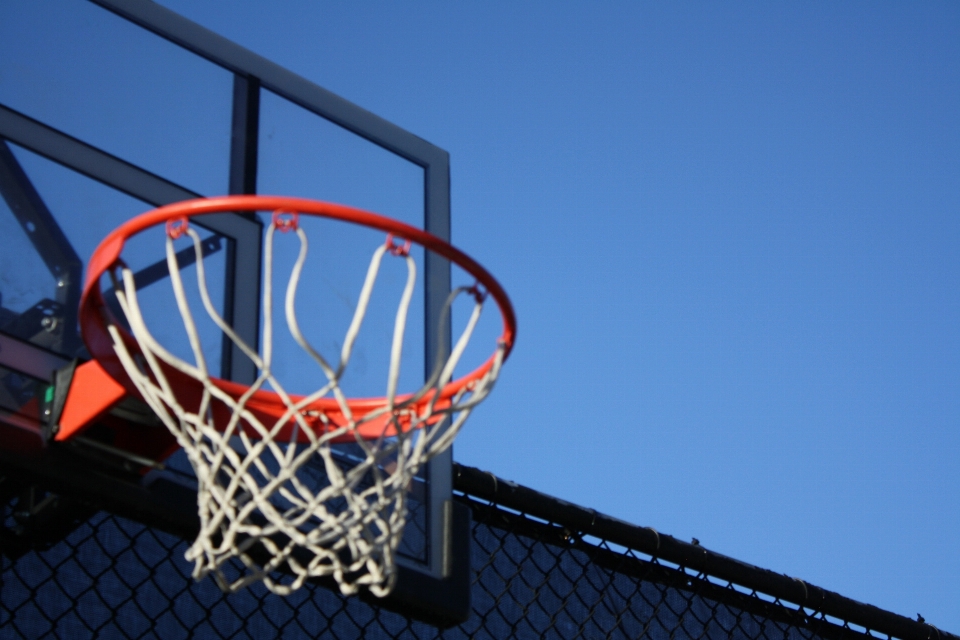 Ring basket
 bola basket lapangan net