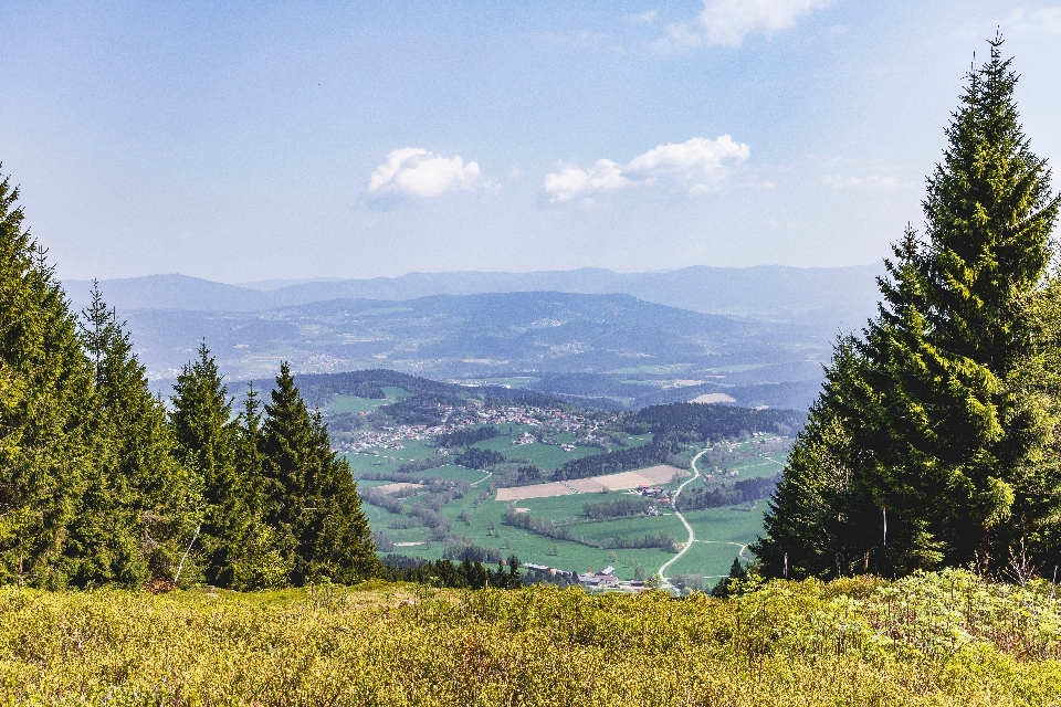 自然 山岳地形
 山 荒野
