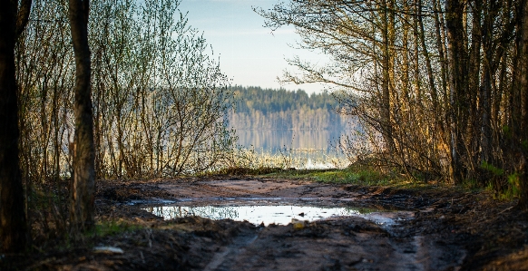 Natural landscape nature tree water Photo