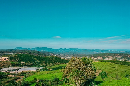 Green sky nature blue Photo