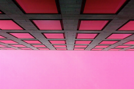 Pink red ceiling light Photo