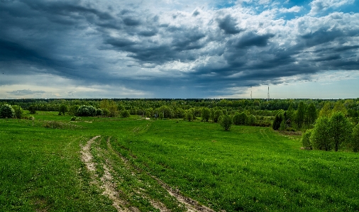 Green natural landscape grassland sky Photo