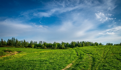 Sky green natural landscape nature Photo