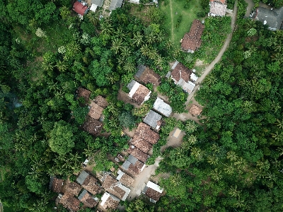 Aerial photography bird's eye view residential area suburb Photo