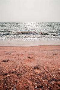 Sea horizon water sky Photo