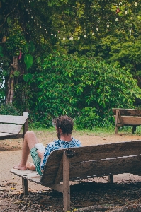 Green sitting bench people Photo