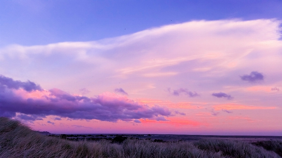 Langit lavender alam ungu