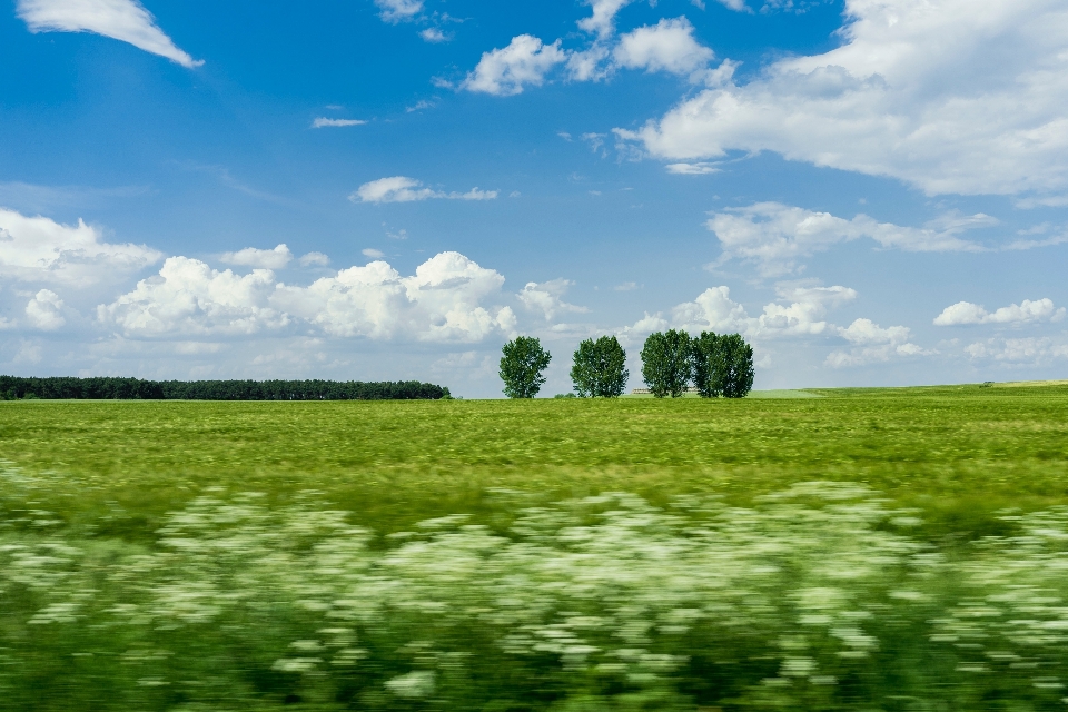 Natürliche landschaft
 wiese
 feld natur