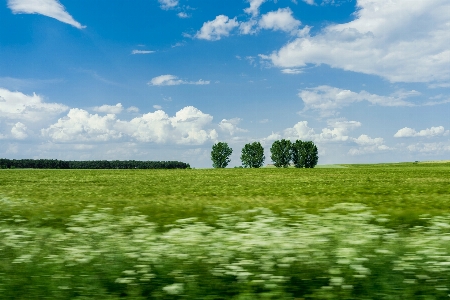 Natural landscape grassland field nature Photo