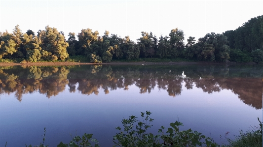 Danube reflection body of water nature Photo