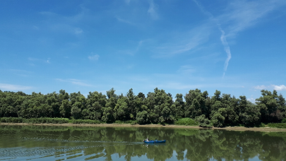 Danube
 plan d'eau
 paysage naturel
 nature