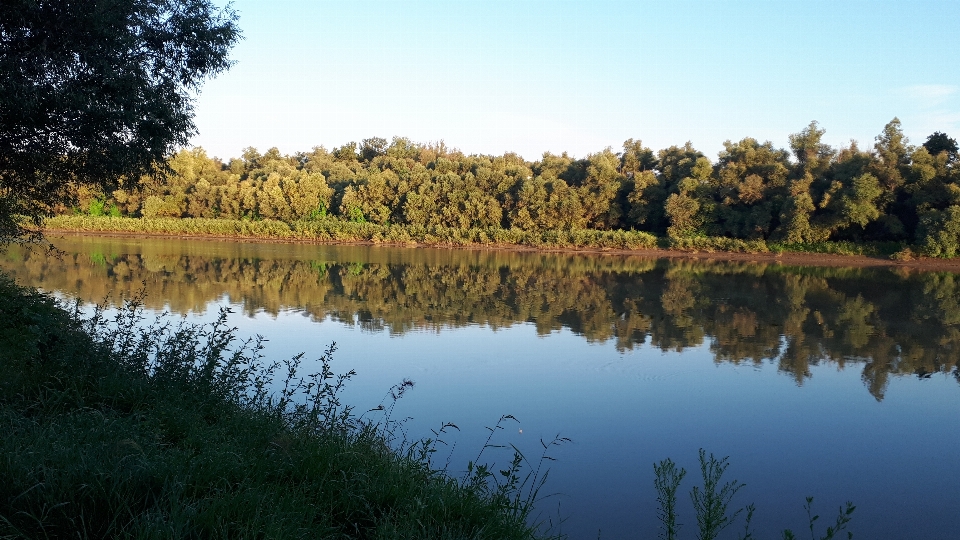 Donau
 betrachtung gewässer
 natürliche landschaft
