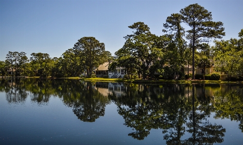 Reflection body of water nature Photo