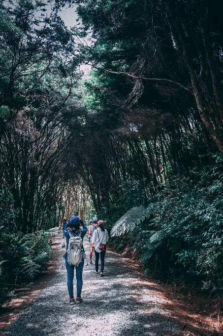 Pessoas na natureza
 natureza fotografia árvore