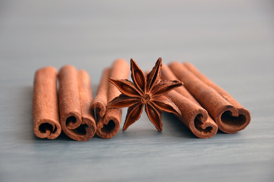 Cinnamon stick evergreen chinese