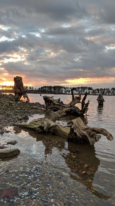 Lago legni galleggianti
 acqua tramonto