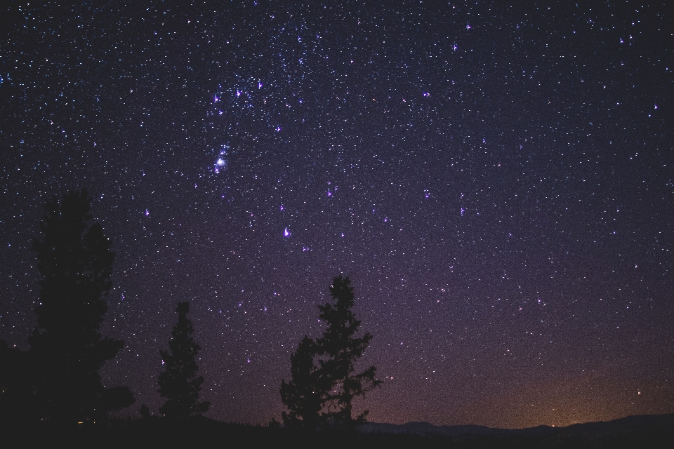 空 夜 大気現象
 木