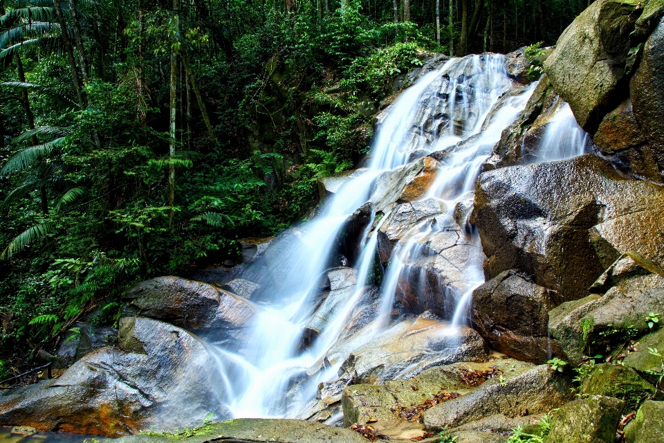 Waterfall water resources body of natural landscape