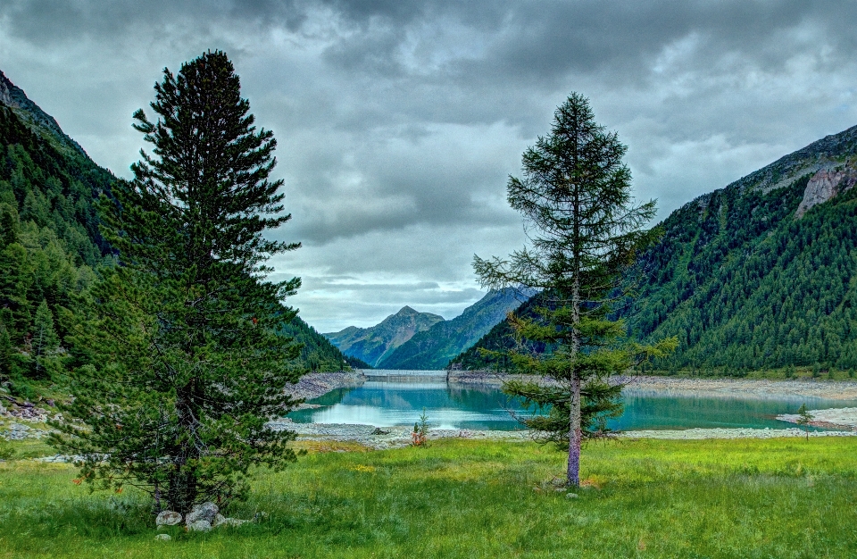 Natural landscape nature wilderness tree