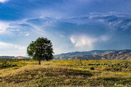 Himmel natürliche landschaft
 wiese
 natur Foto