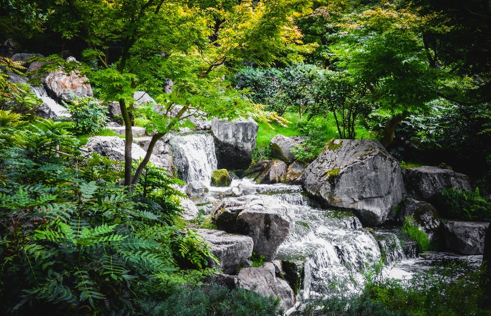 Vegetation natural landscape nature water