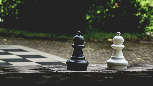 Photo échecs échiquier jeux et sports d'intérieur
