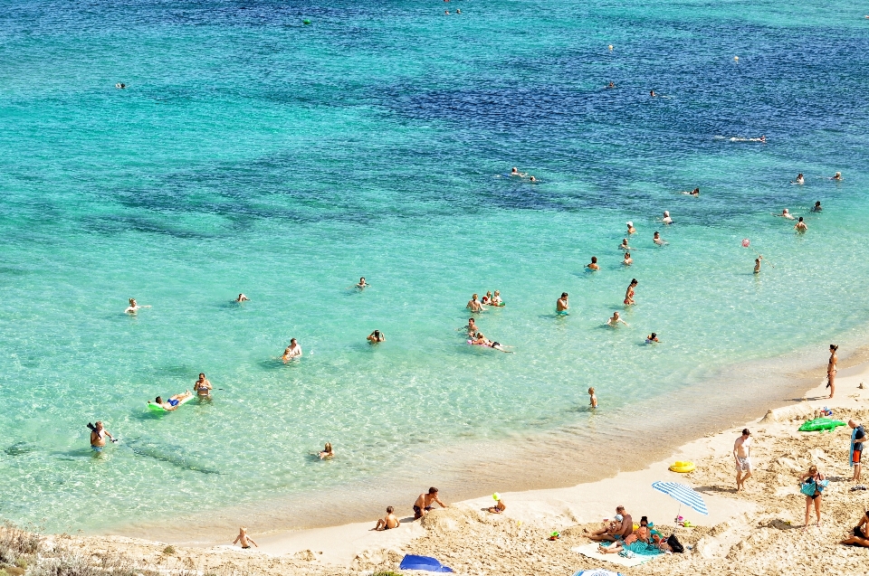 ビーチにいる人々
 水域
 ビーチ 海