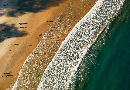 Фото вода зеленый водные ресурсы
 песок