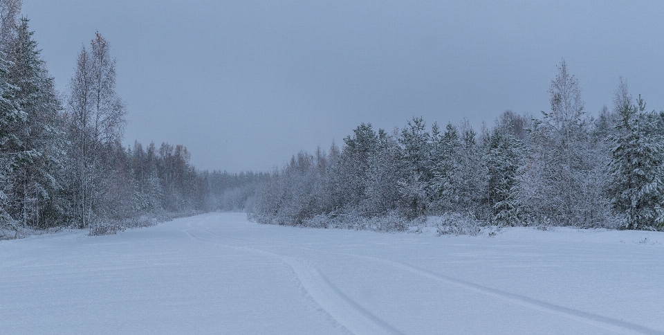 Schnee winter atmosphärisches phänomen
 einfrieren