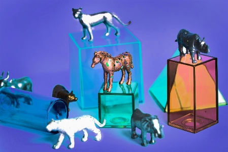 Goat goats organism animation Photo