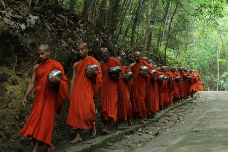 Monk adaptation tribe temple Photo