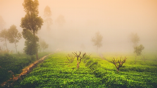 Nature natural landscape sky green Photo