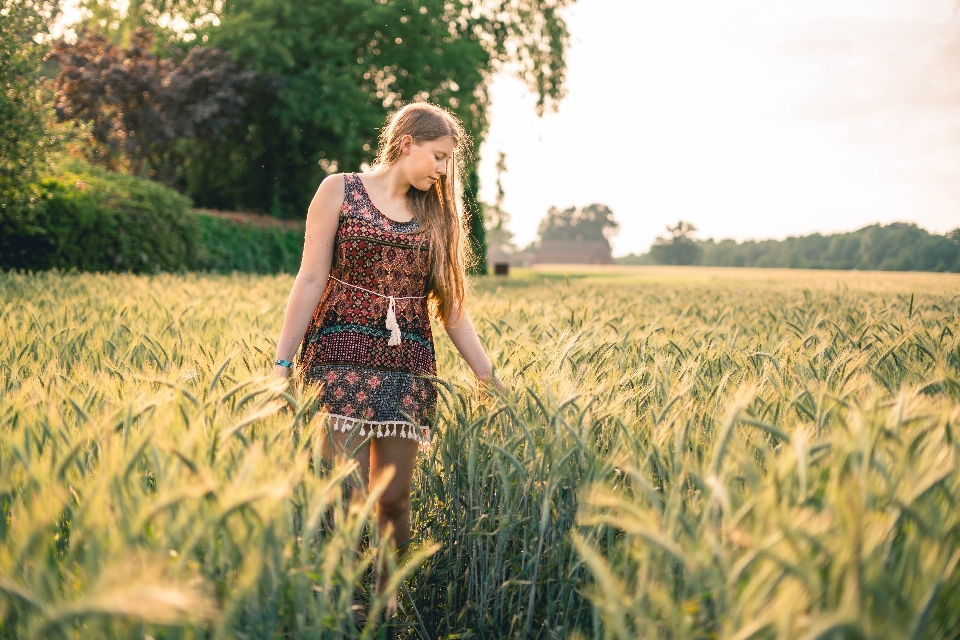 People in nature field grass sunlight