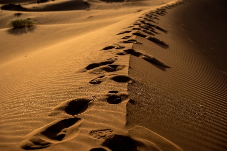 Foto Sabbia deserto erg
 ambiente naturale
