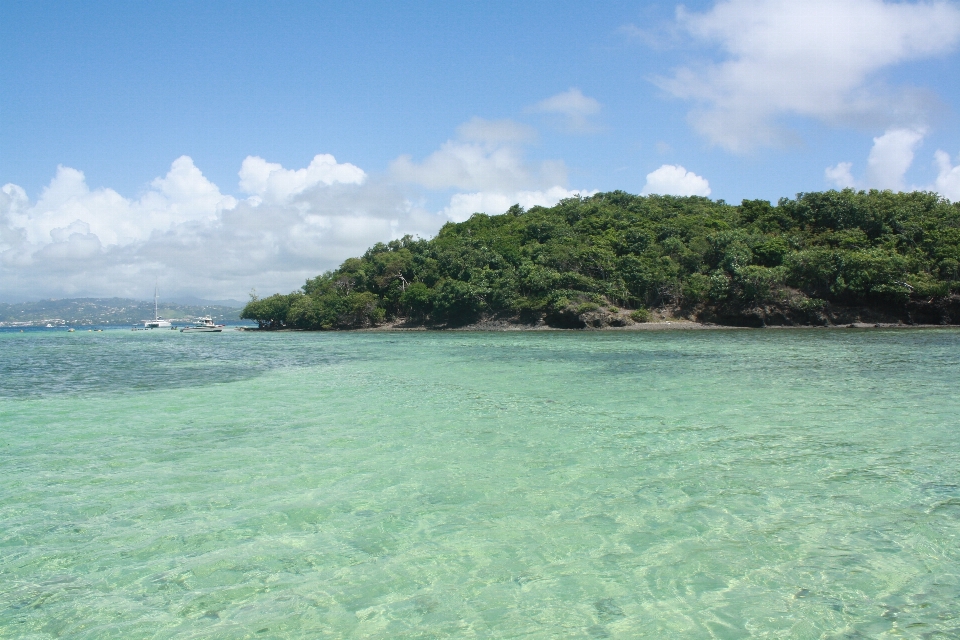 Tropical caribe francés señora isla
