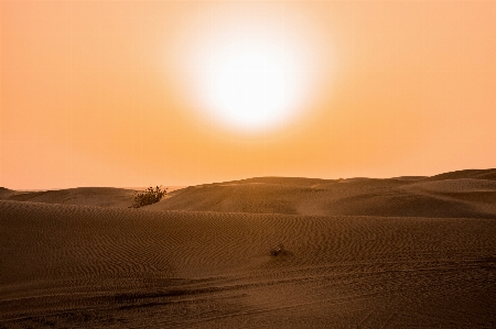 Desert sand natural environment erg Photo