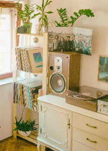 Room green shelf laundry Photo