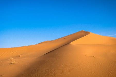 Desert sand erg natural environment Photo