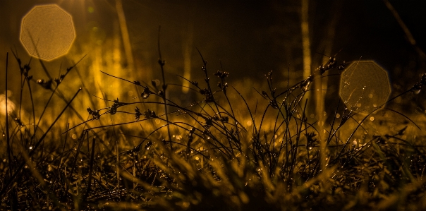 Nature water grass sky Photo