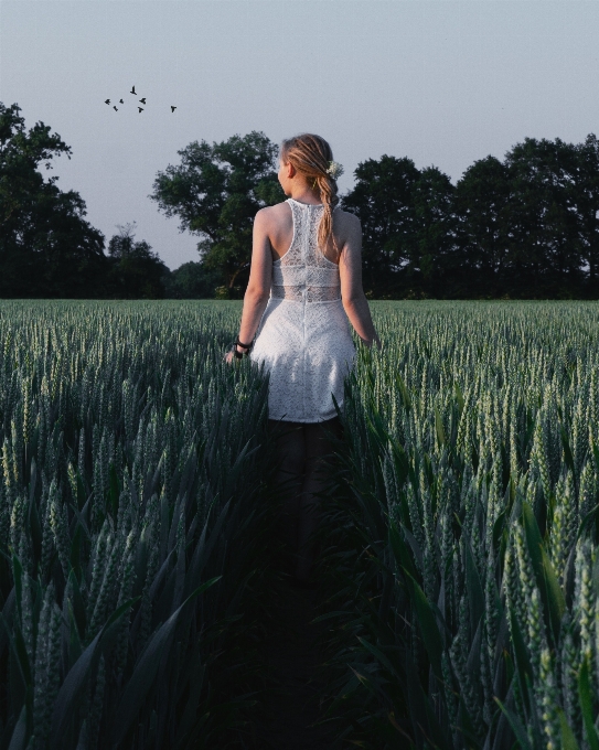 Menschen in der natur
 gras kleid schönheit