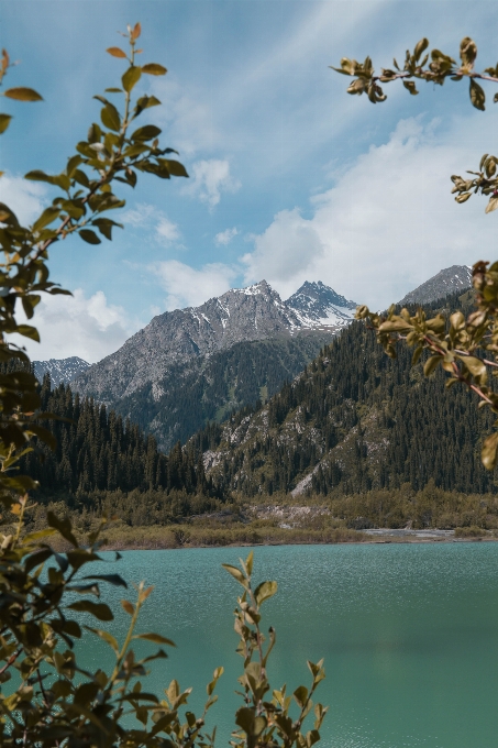 自然 山地地貌 山 自然景观
