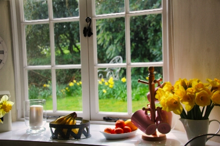 Kitchen view fruit daffodils Photo