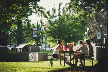 Leisure public space tree table Photo