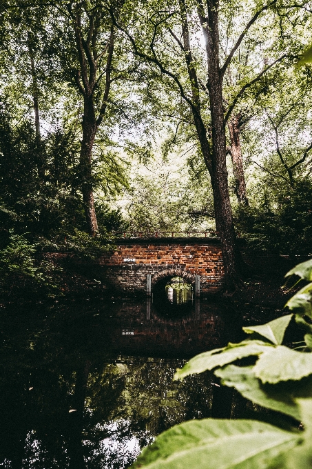 Nature water tree natural landscape