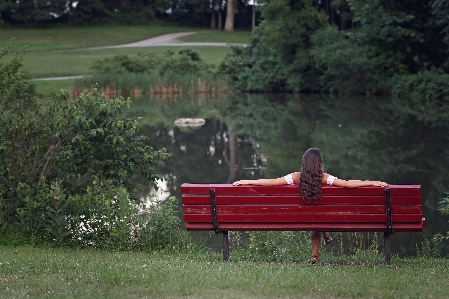 Bench furniture grass outdoor Photo